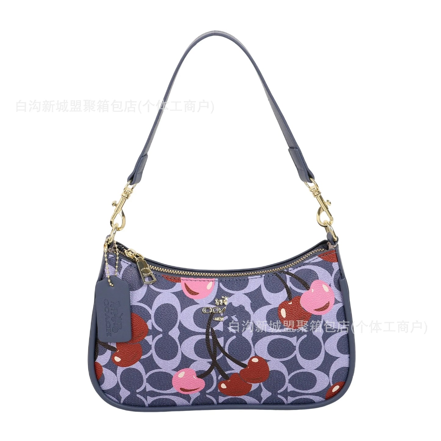 Premium Chain Armpit Bag, Coach-style Luxury Niche, Fashion Crossbody for Women
