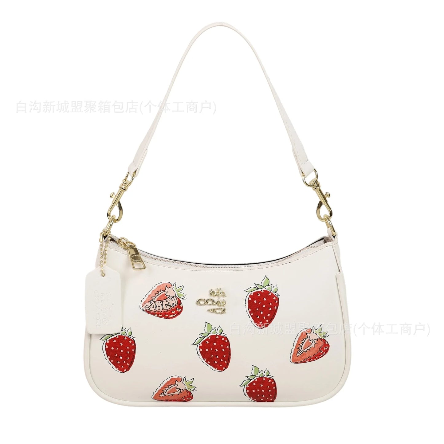 Premium Chain Armpit Bag, Coach-style Luxury Niche, Fashion Crossbody for Women