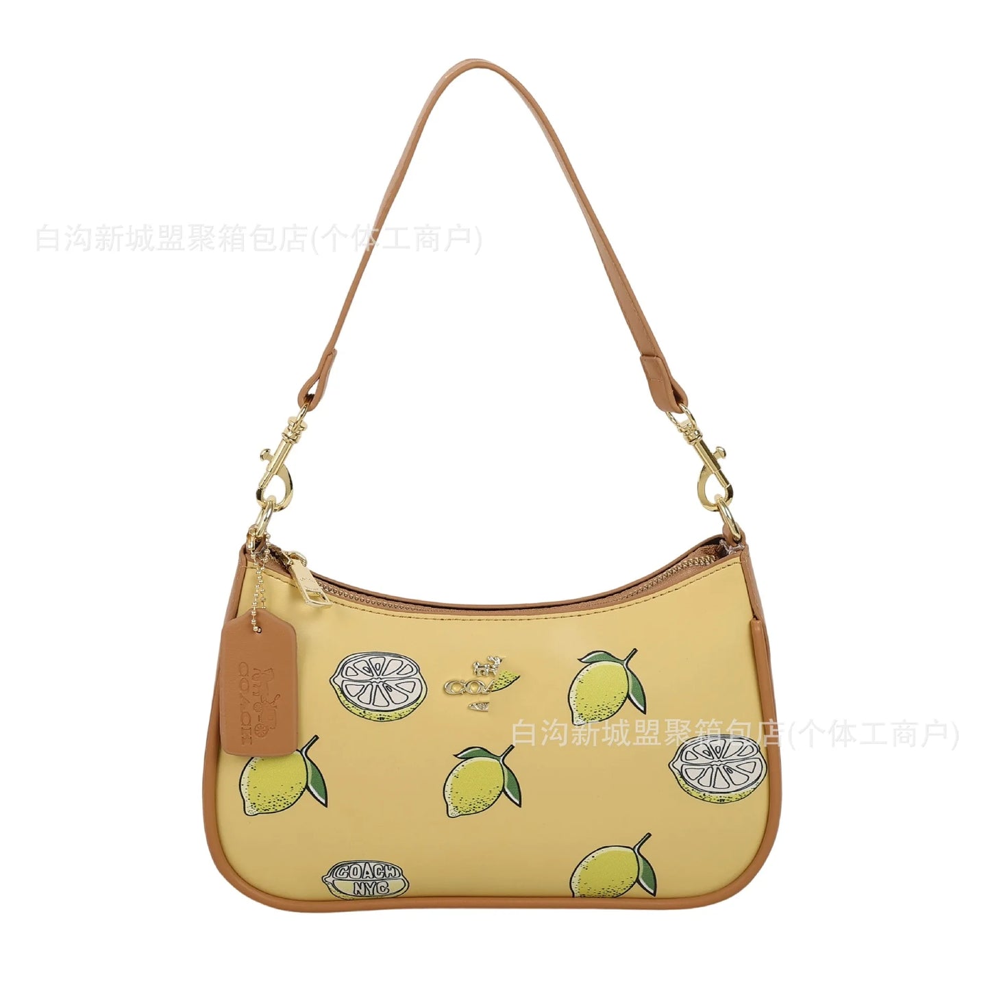 Premium Chain Armpit Bag, Coach-style Luxury Niche, Fashion Crossbody for Women